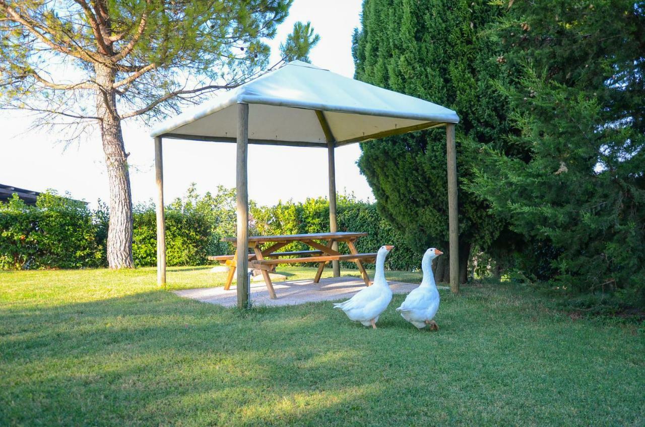 Agriturismo Galanti Villa Cossignano Exterior photo